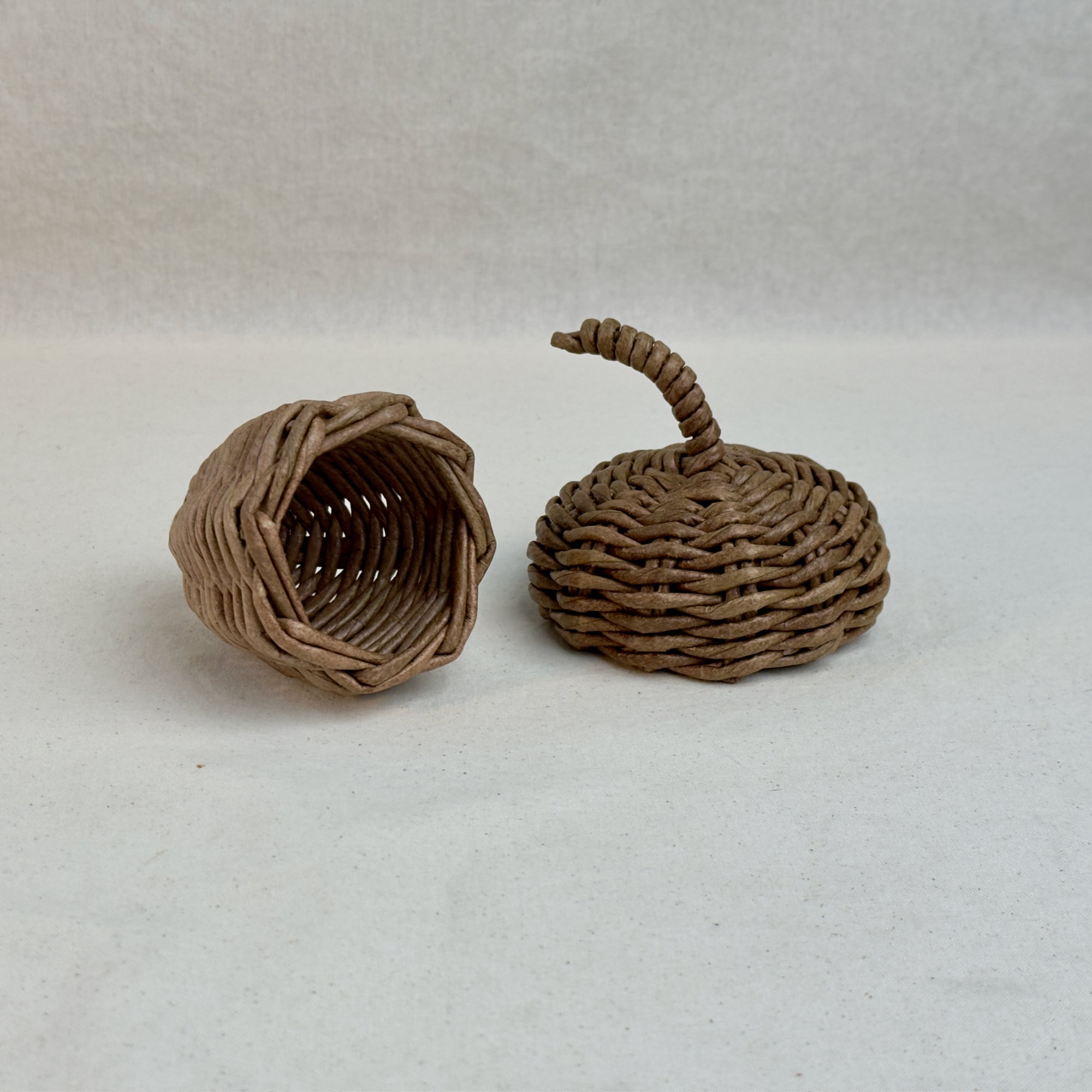 Handwoven Paper Vine Acorn Fall Decoration