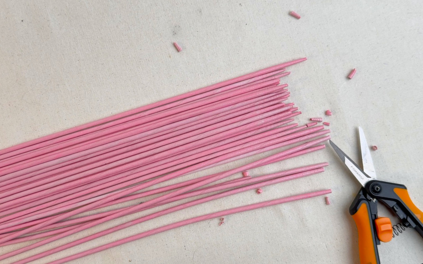 Paper vine rods and scissors