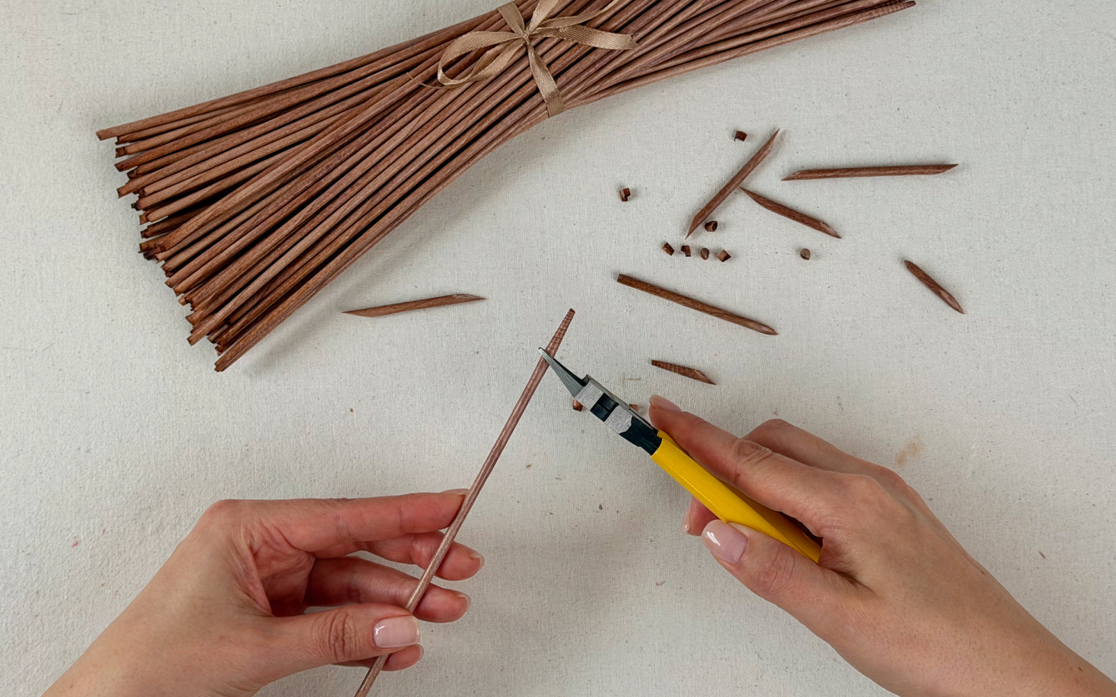 Paper vine rods and hands with snippers cutting a rod